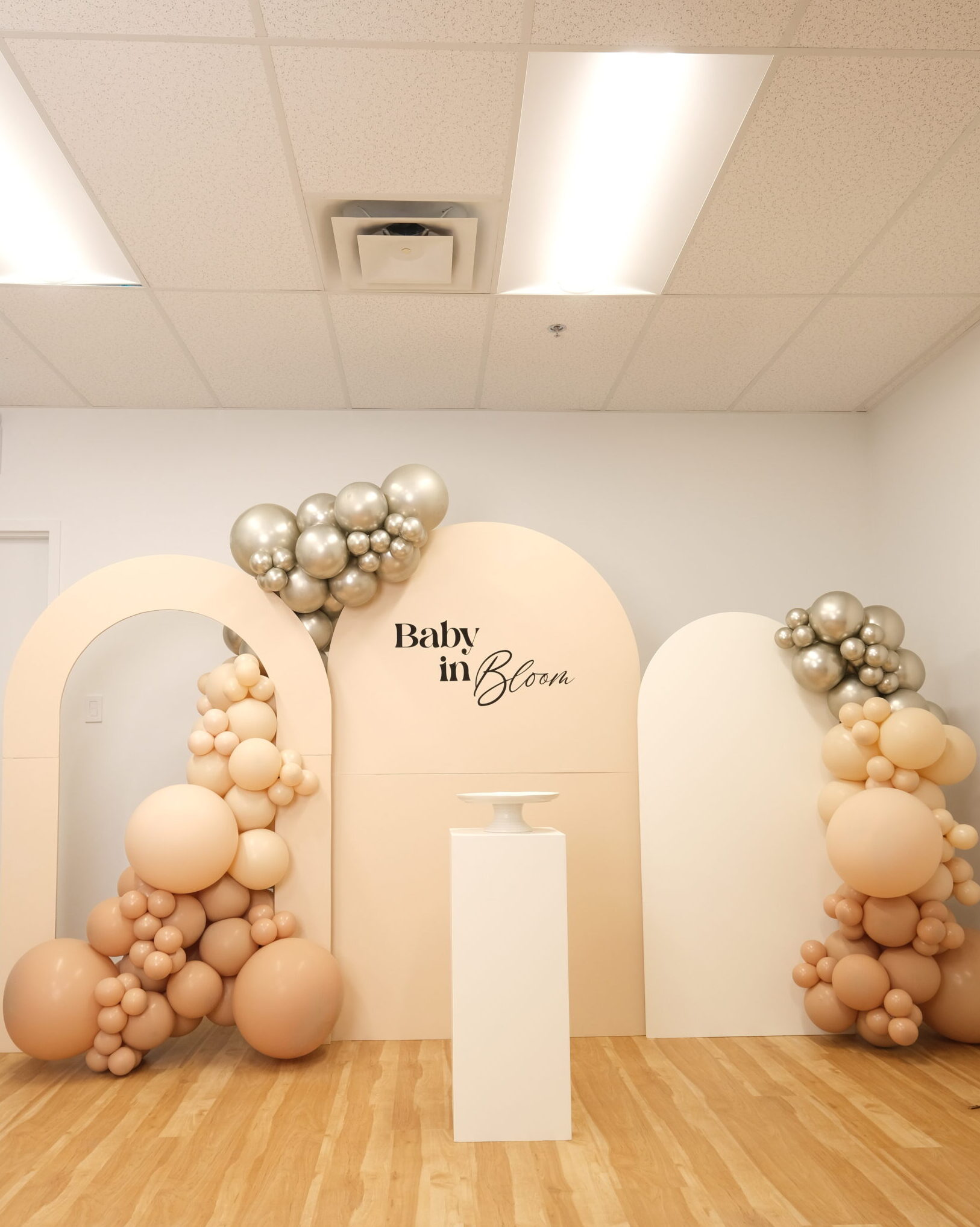 Modern Luxury – Balloon Kit